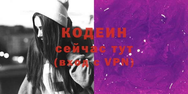 дурь Ельня
