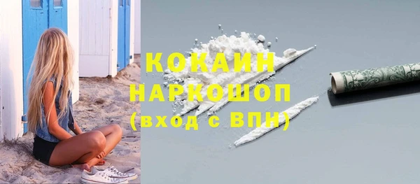 дурь Ельня