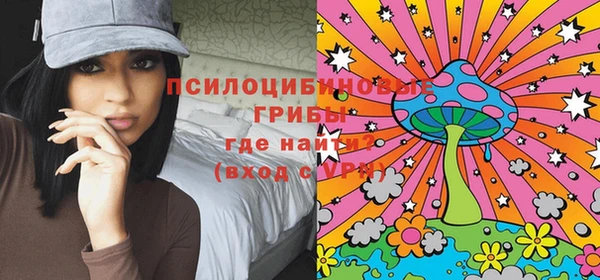 дурь Ельня