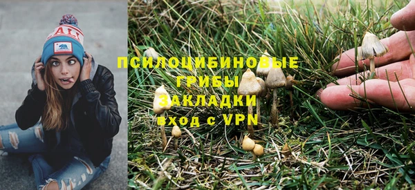 бошки Елабуга