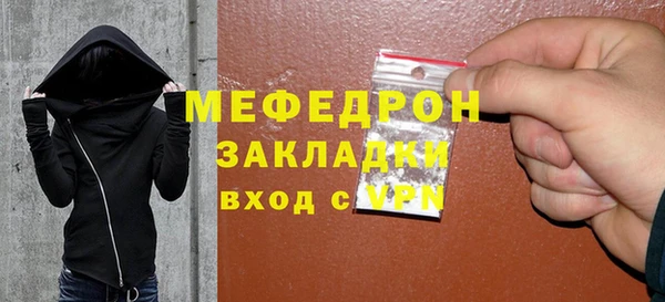дурь Ельня