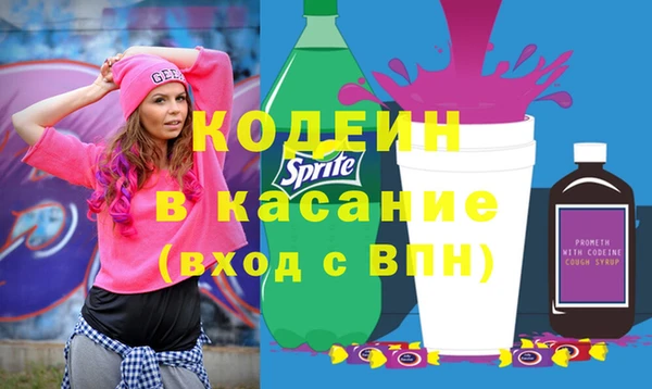 дурь Ельня