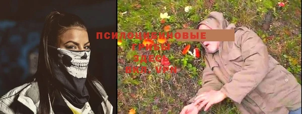 бошки Елабуга