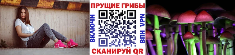 Купить  Ессентукская  Псилоцибиновые грибы Psilocybine cubensis 